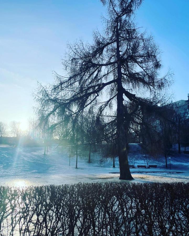 Sea, Sauna And City Center Helsinki Luaran gambar